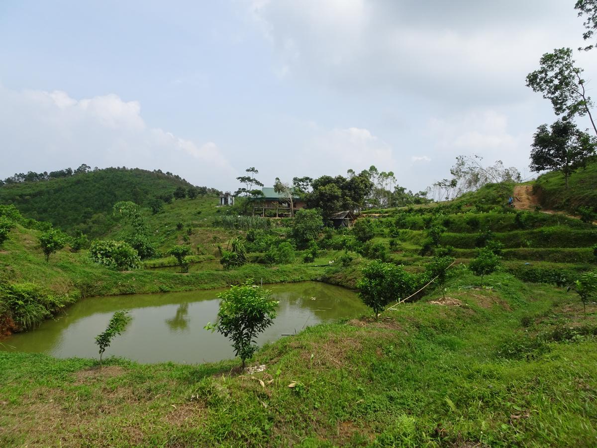Thac Ba Family Homestay Ho To Eksteriør bilde